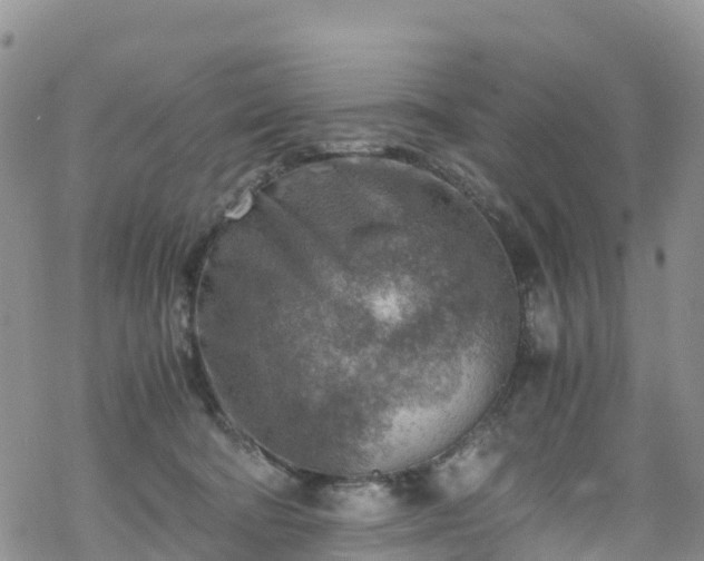 X0000069410322200605192310