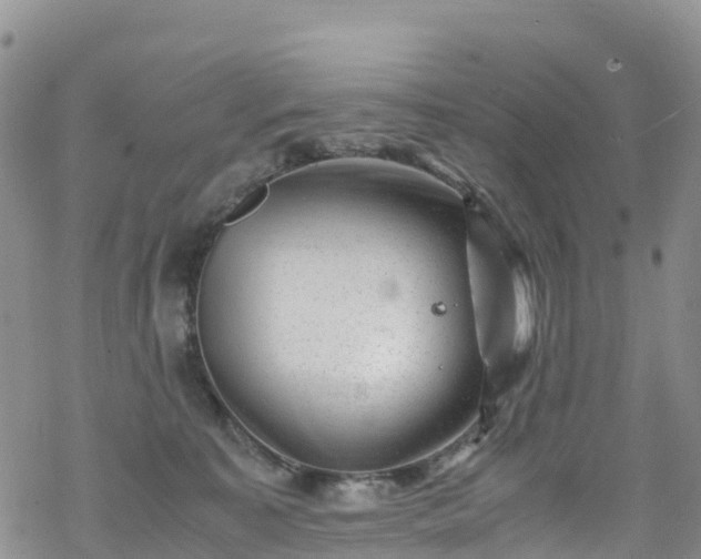 X0000069410323200605192310