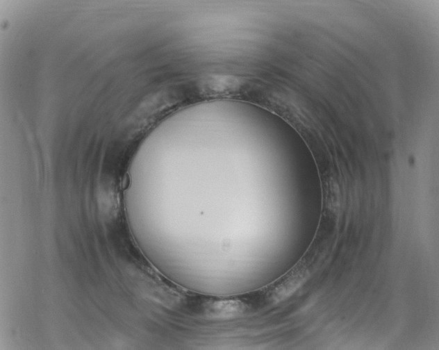 X0000069410324200605192310