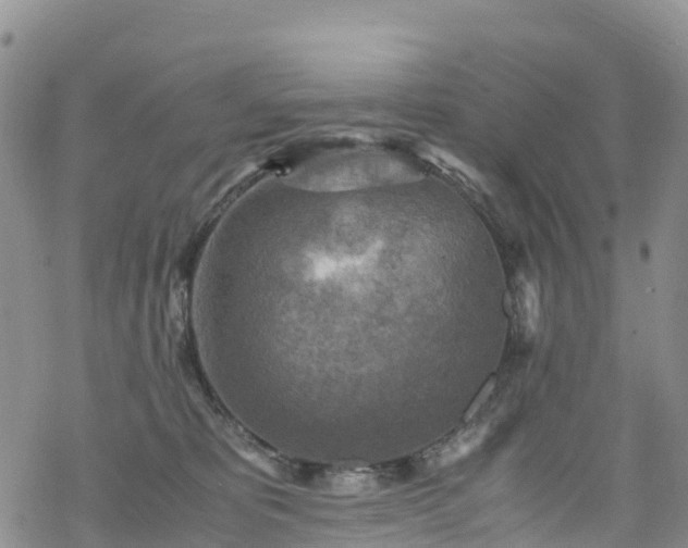 X0000069410325200605192310