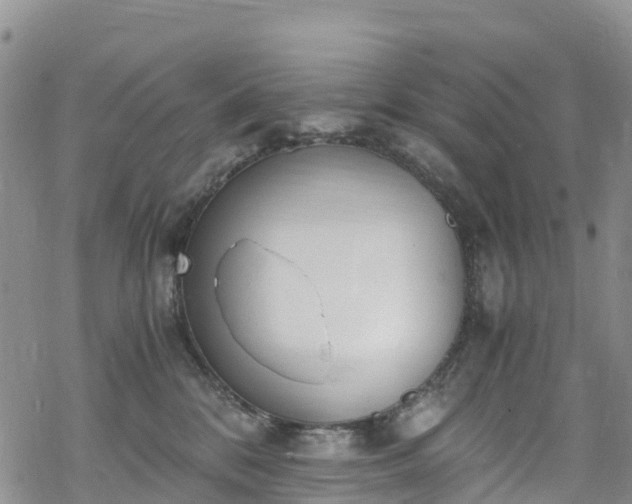 X0000069410328200605192310