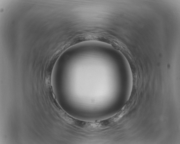 X0000069410329200605192310