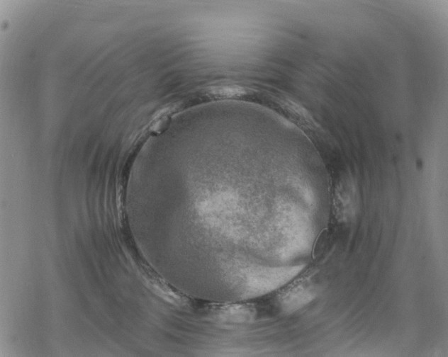 X0000069410330200605192310