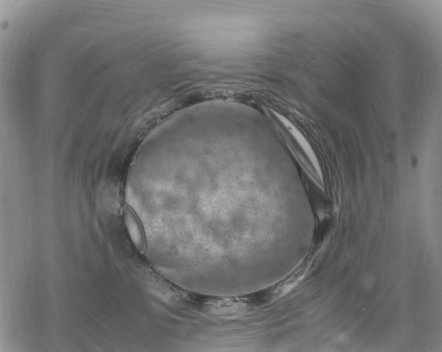 X0000069410331200605192310