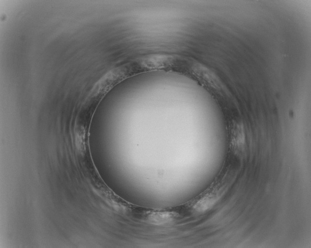 X0000069410332200605192310