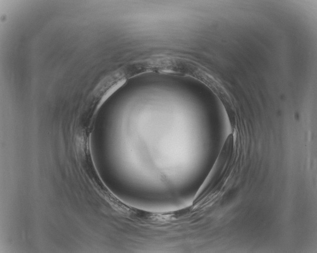 X0000069410333200605192310