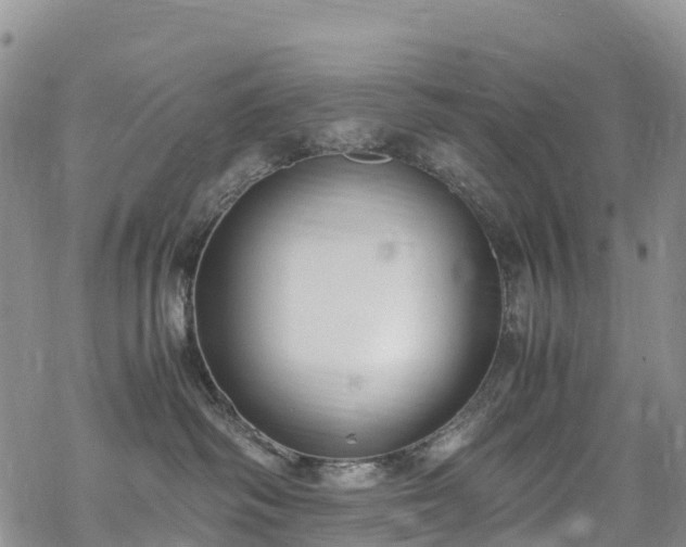 X0000069410334200605192310