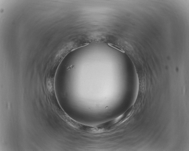 X0000069410335200605192310