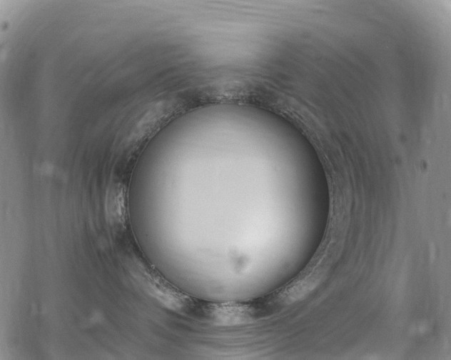 X0000069410336200605192310