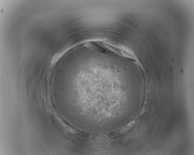 X0000069410337200605192309