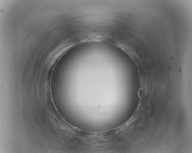 X0000069410338200605192309