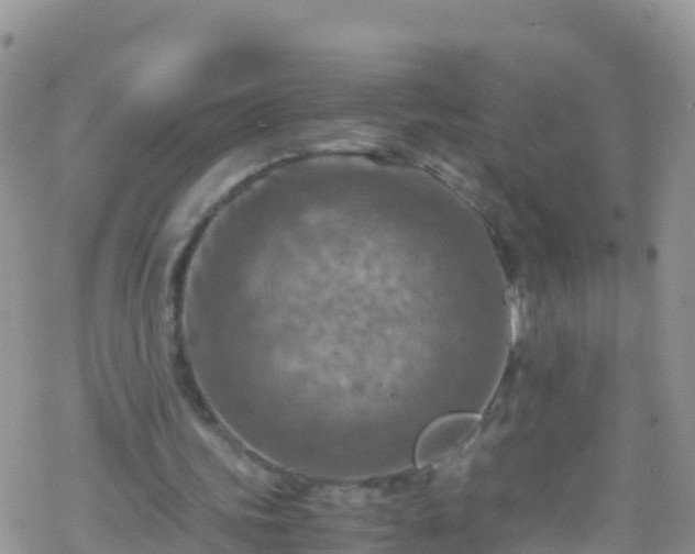 X0000069410339200605192309