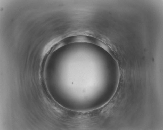 X0000069410340200605192309