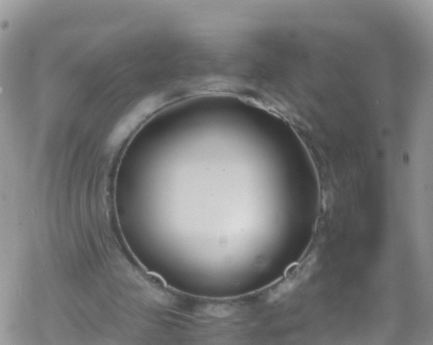 X0000069410341200605192309