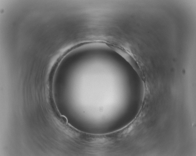 X0000069410342200605192309