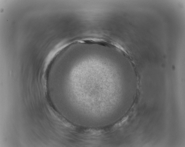 X0000069410343200605192309