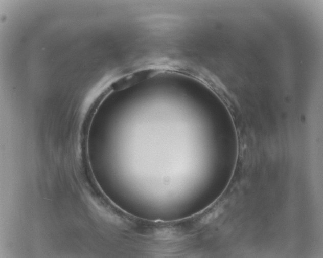 X0000069410344200605192309