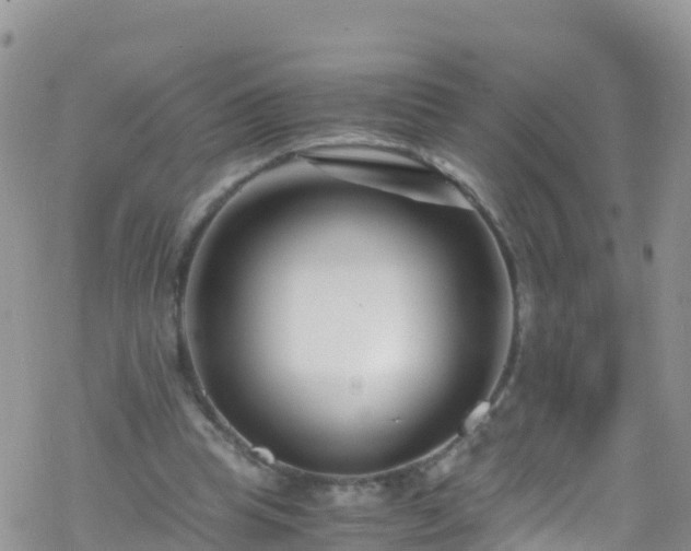 X0000069410345200605192309