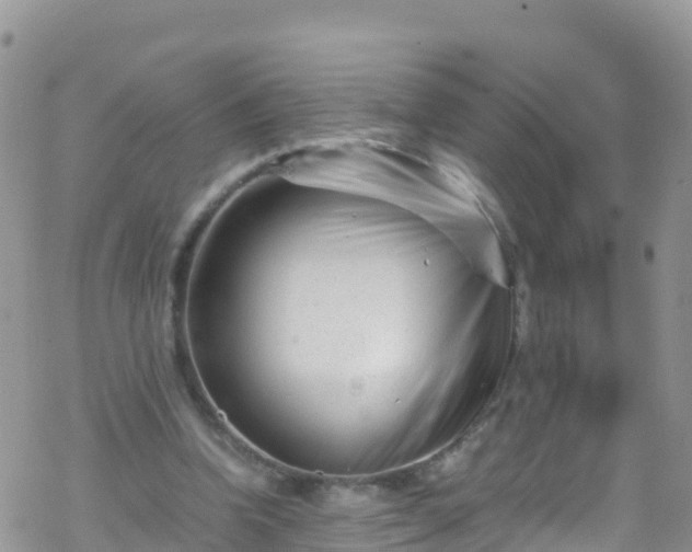 X0000069410346200605192309