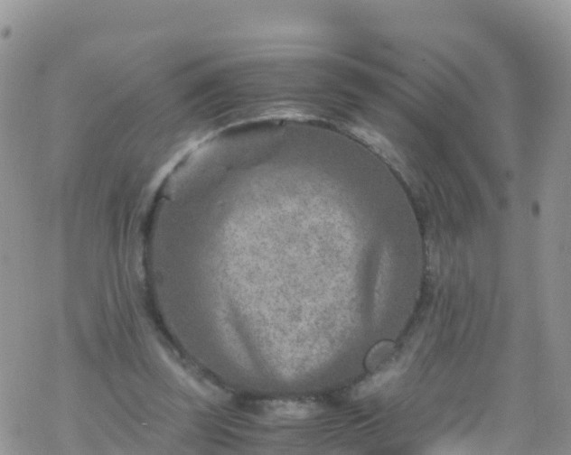 X0000069410347200605192309