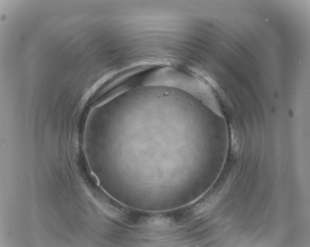 X0000069410348200605192309