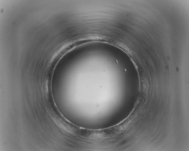 X0000069410350200605192309