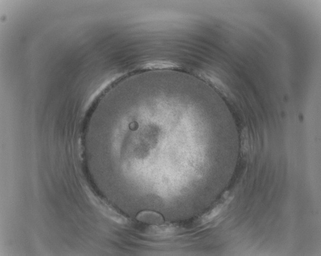 X0000069410351200605192309