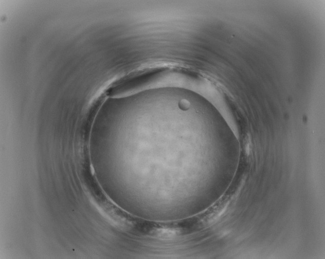 X0000069410352200605192309