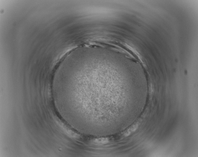 X0000069410353200605192309