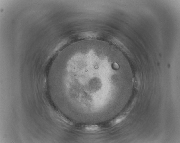 X0000069410355200605192309