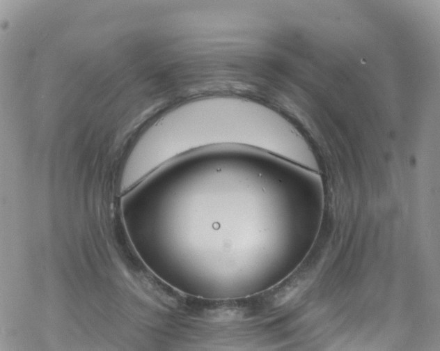 X0000069410356200605192309