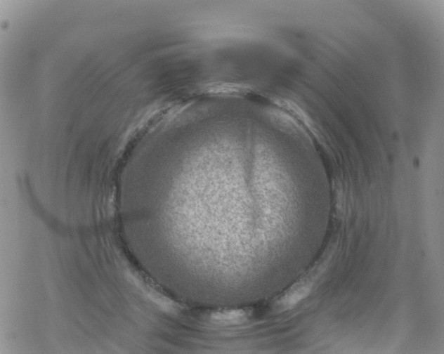 X0000069410357200605192310