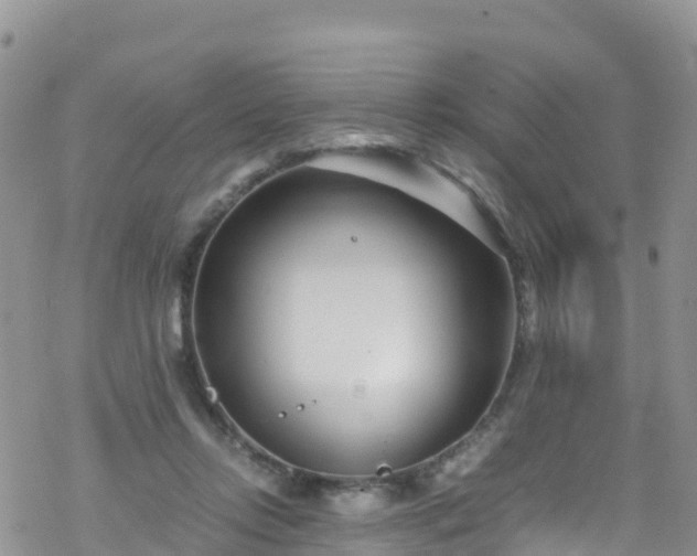 X0000069410358200605192310