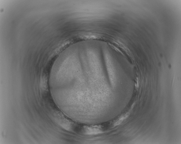 X0000069410359200605192310