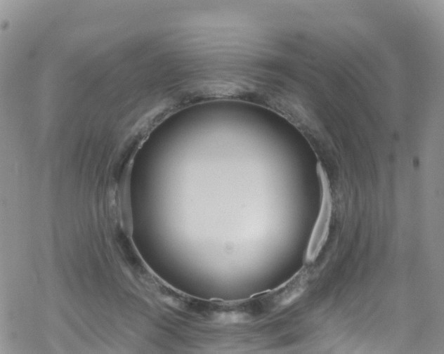 X0000069410360200605192310