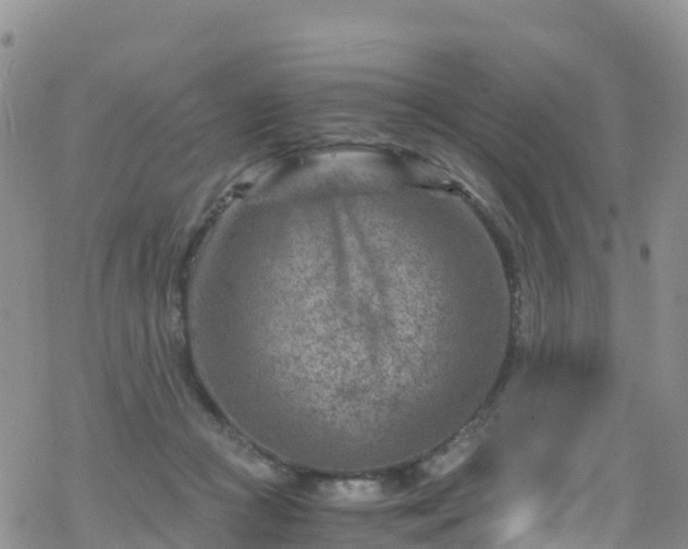 X0000069410361200605192310