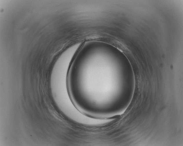 X0000069410362200605192310