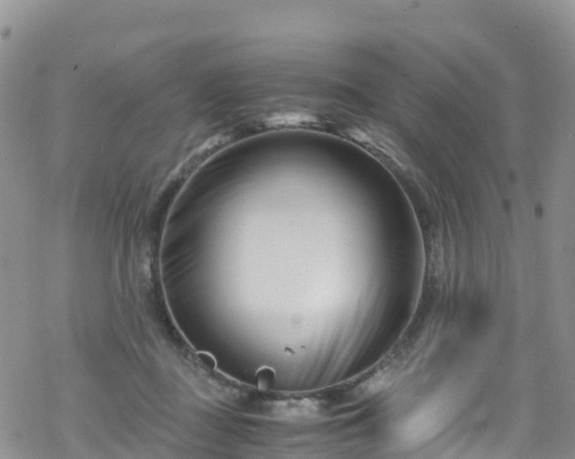 X0000069410363200605192310