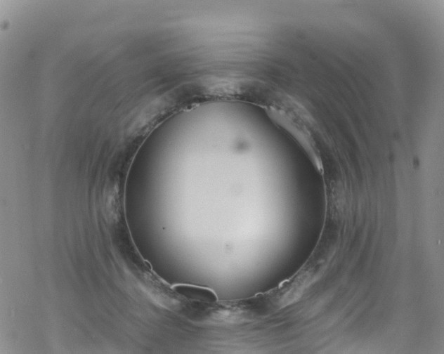 X0000069410364200605192310