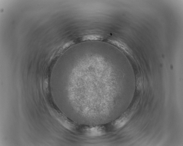 X0000069410365200605192310