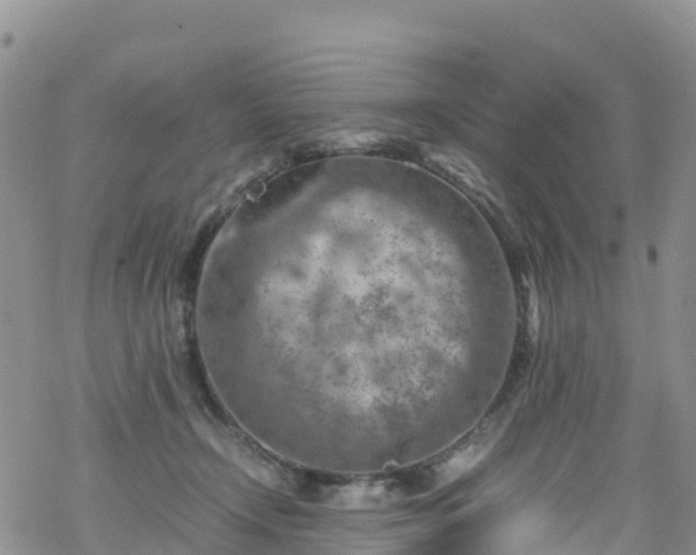 X0000069410366200605192310