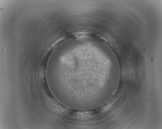 X0000069410367200605192310