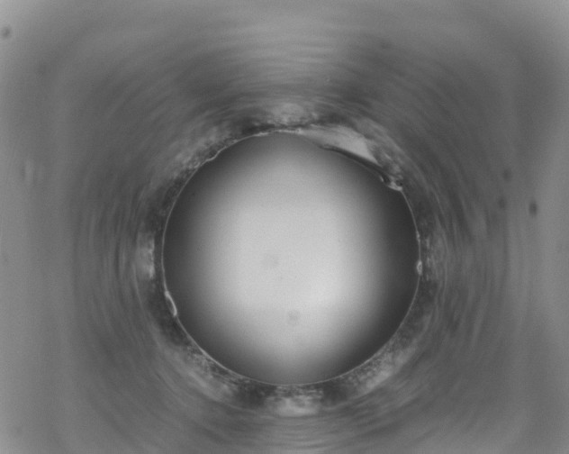 X0000069410368200605192310