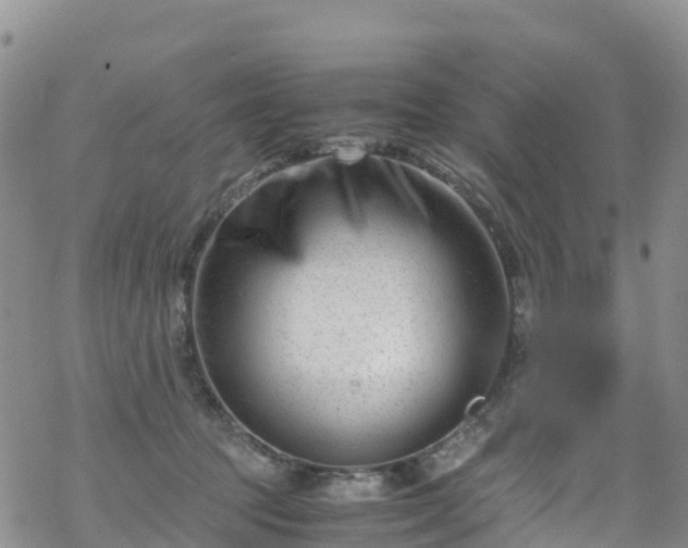 X0000069410369200605192310