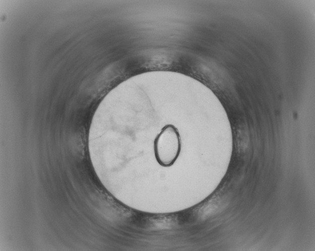 X0000069410370200605192310