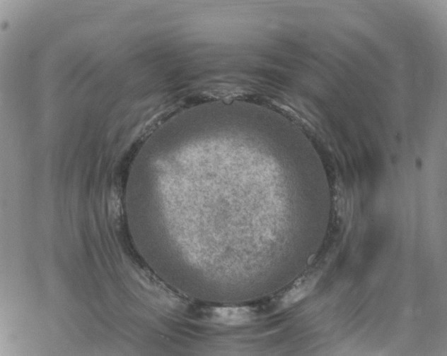 X0000069410371200605192310