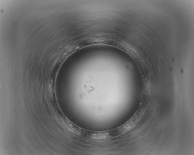 X0000069410373200605192310