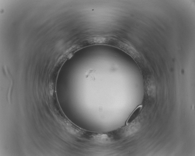 X0000069410374200605192310