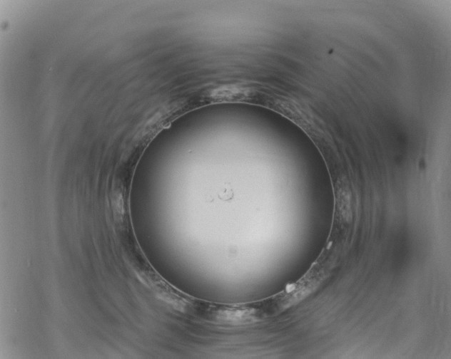 X0000069410375200605192310