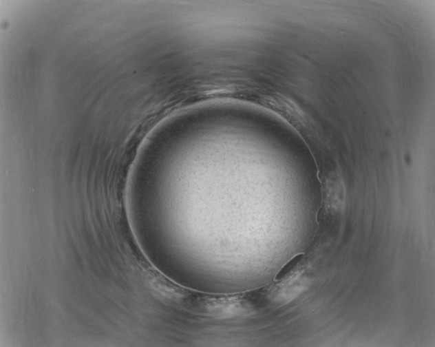 X0000069410377200605192310